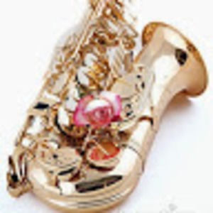 Meet your Posher, Alyhs